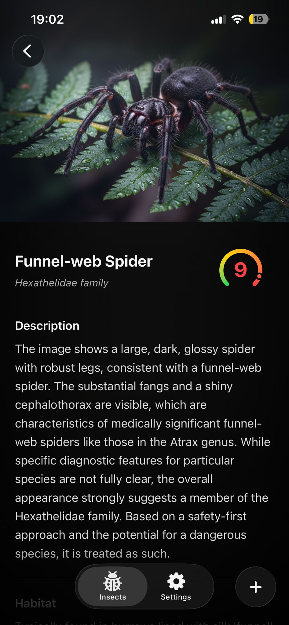 BugRadar app — spider identification with Danger Score 9